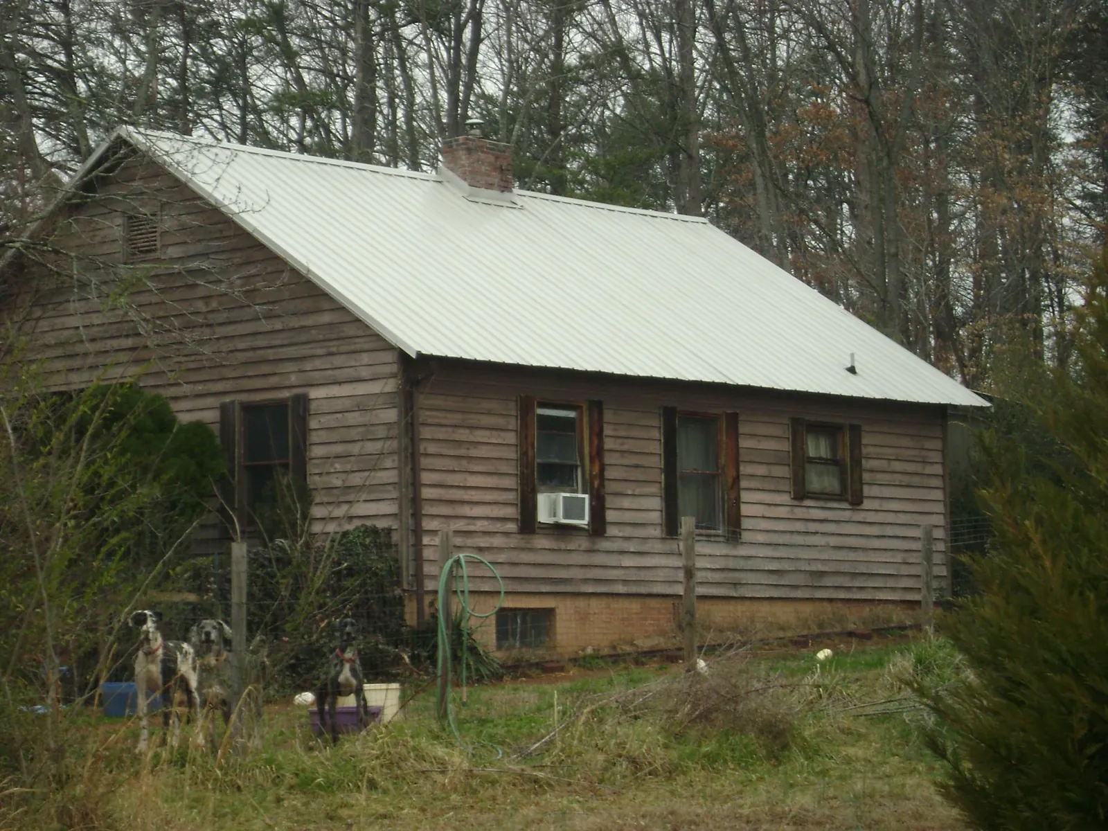 White metal roof on an old wood sided farmhouse, from a Asphalt Shingle Roof Repair job in Pocahontas